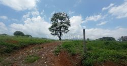 Congregación Barreal / 20700 m2 / Terreno en Venta (2401-215)