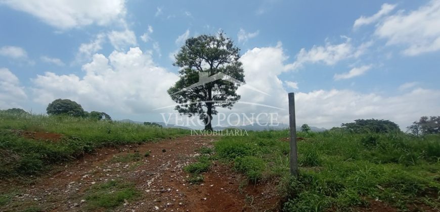 Congregación Barreal / 20700 m2 / Terreno en Venta (2401-215)