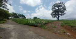 Congregación Barreal / 20700 m2 / Terreno en Venta (2401-215)