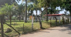 Agustin Millán / 1000 m2 / Terreno en Venta (2303-687)