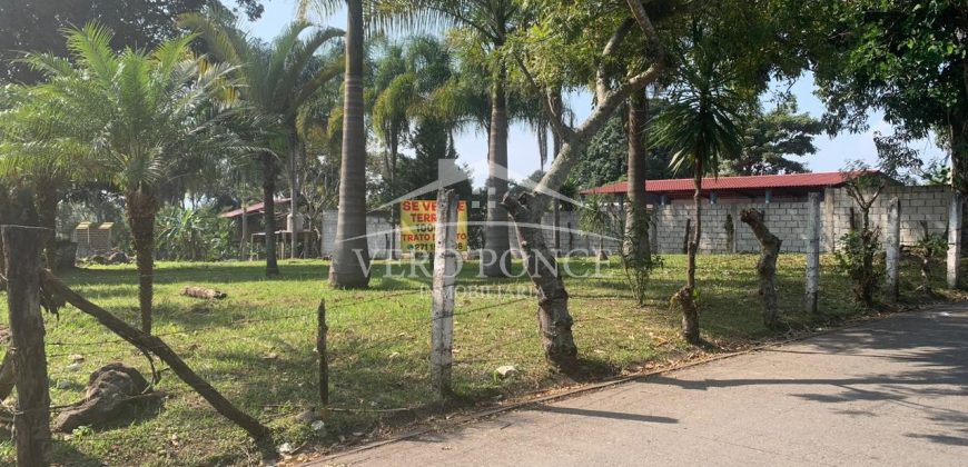 Agustin Millán / 1000 m2 / Terreno en Venta (2303-687)