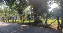 Agustin Millán / 1000 m2 / Terreno en Venta (2303-687)