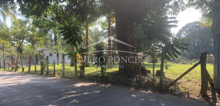 Agustin Millán / 1000 m2 / Terreno en Venta (2303-687)