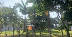 Agustin Millán / 1000 m2 / Terreno en Venta (2303-687)