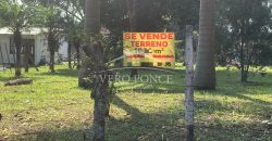 Agustin Millán / 1000 m2 / Terreno en Venta (2303-687)