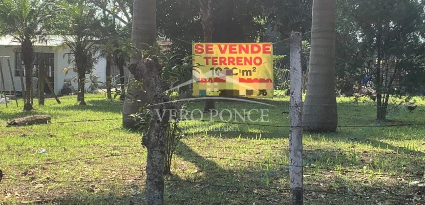 Agustin Millán / 1000 m2 / Terreno en Venta (2303-687)