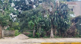 Calzada Tlacotengo / 1629.71 m2 / Terreno en Venta (2401-232) Calzada Tlacotengo / 1629.71 m2 / Terreno en Venta (2401-232)