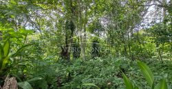 Calzada Tlacotengo / 1629.71 m2 / Terreno en Venta (2401-232)