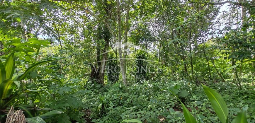 Calzada Tlacotengo / 1629.71 m2 / Terreno en Venta (2401-232)