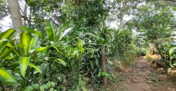 Calzada Tlacotengo / 1629.71 m2 / Terreno en Venta (2401-232)