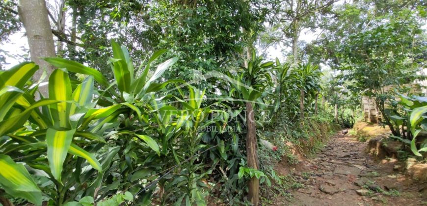 Calzada Tlacotengo / 1629.71 m2 / Terreno en Venta (2401-232)