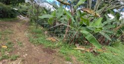 2da Manzana del Barreal / 1256 m2 / Terreno en Venta (2401-258)