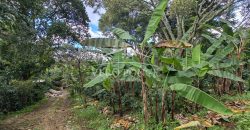 2da Manzana del Barreal / 1256 m2 / Terreno en Venta (2401-258)