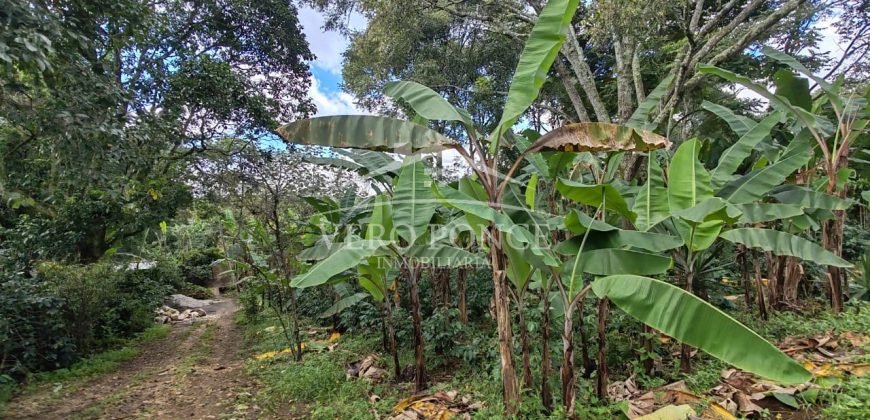 2da Manzana del Barreal / 1256 m2 / Terreno en Venta (2401-258)