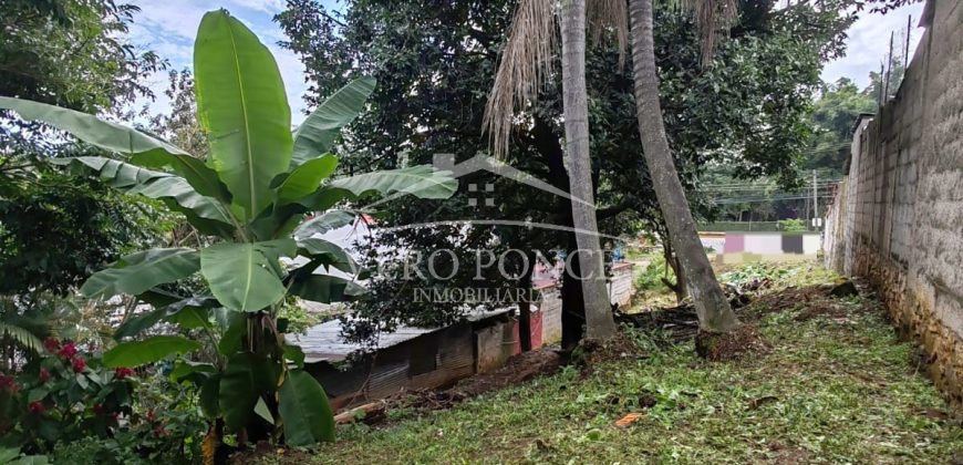 Colonia Federal / 518 m2 / Terreno en Venta (2410-261)