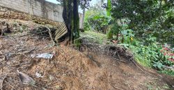 Colonia Federal / 518 m2 / Terreno en Venta (2410-261)