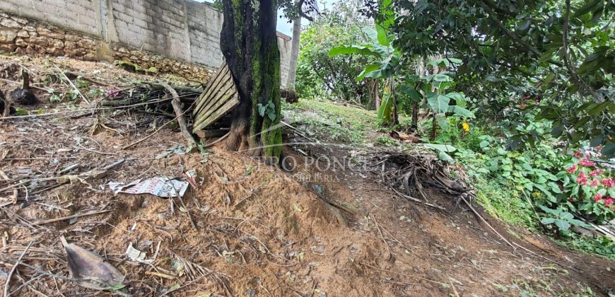 Colonia Federal / 518 m2 / Terreno en Venta (2410-261)