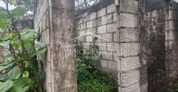 El Trébol / 200 m2 / Terreno en Venta (2401-267)