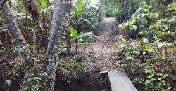 2da Manzana del Barreal / 1256.58 m2 / Terreno en Venta (2401-271)