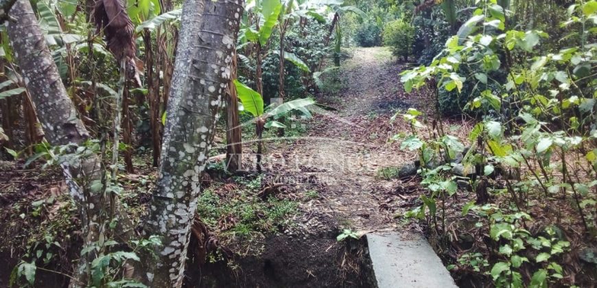 2da Manzana del Barreal / 1256.58 m2 / Terreno en Venta (2401-271)