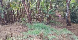 2da Manzana del Barreal / 1256.58 m2 / Terreno en Venta (2401-271)