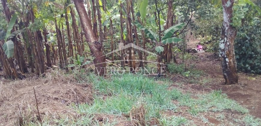 2da Manzana del Barreal / 1256.58 m2 / Terreno en Venta (2401-271)