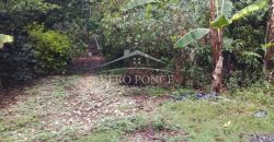 2da Manzana del Barreal / 1256.58 m2 / Terreno en Venta (2401-271)