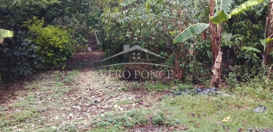 2da Manzana del Barreal / 1256.58 m2 / Terreno en Venta (2401-271)