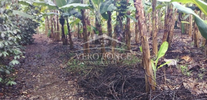 2da Manzana del Barreal / 1256.58 m2 / Terreno en Venta (2401-271)