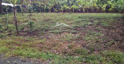 2da Manzana del Barreal / 1256.58 m2 / Terreno en Venta (2401-271)