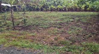 2da Manzana del Barreal / 1256.58 m2 / Terreno en Venta (2401-271) 2da Manzana del Barreal / 1256.58 m2 / Terreno en Venta (2401-271)