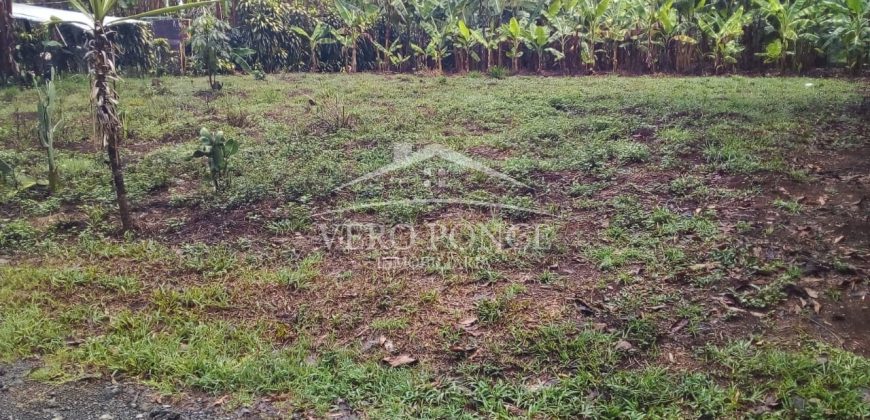 2da Manzana del Barreal / 1256.58 m2 / Terreno en Venta (2401-271)