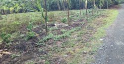 2da Manzana del Barreal / 1256.58 m2 / Terreno en Venta (2401-271)