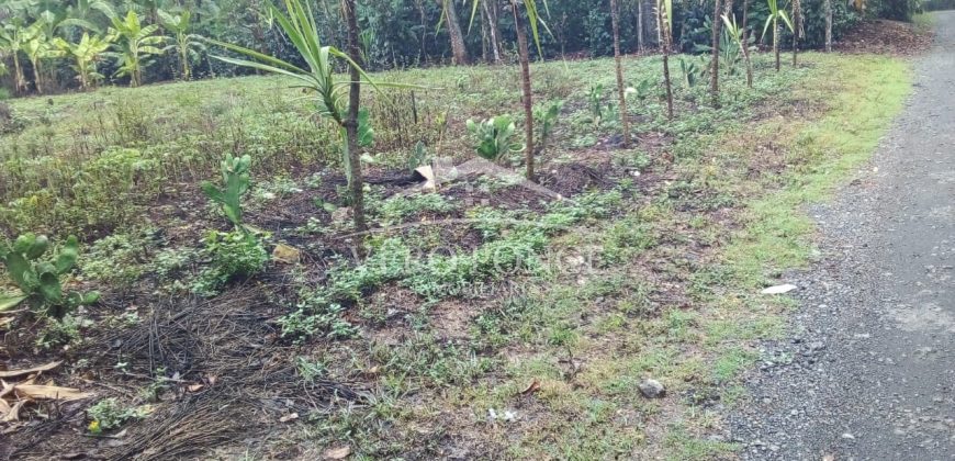 2da Manzana del Barreal / 1256.58 m2 / Terreno en Venta (2401-271)