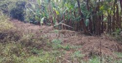 2da Manzana del Barreal / 1256.58 m2 / Terreno en Venta (2401-271)