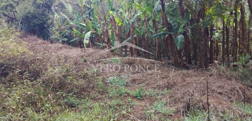 2da Manzana del Barreal / 1256.58 m2 / Terreno en Venta (2401-271)