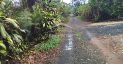 2da Manzana del Barreal / 1256.58 m2 / Terreno en Venta (2401-271)