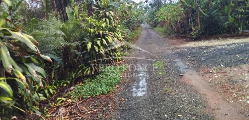 2da Manzana del Barreal / 1256.58 m2 / Terreno en Venta (2401-271)