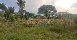 Barreal / 500 m2 / Terreno en Venta (2401-276)