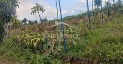 Barreal / 500 m2 / Terreno en Venta (2401-276)