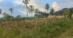 Barreal / 500 m2 / Terreno en Venta (2401-276)