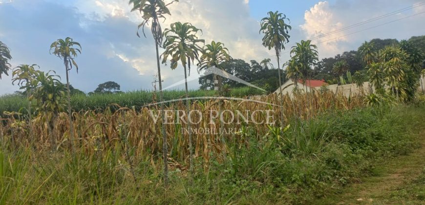 Barreal / 500 m2 / Terreno en Venta (2401-276)