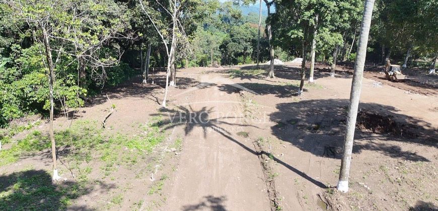 Finca Las Torres / Terrenos en Venta (2401-293)