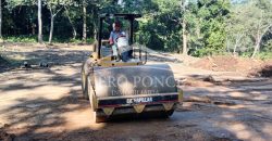 Finca Las Torres / Terrenos en Venta (2401-293)