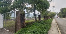 Ixtaczoquitlán / 7500 m2 / Terreno en Venta (2401-298)