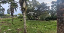 Ixtaczoquitlán / 7500 m2 / Terreno en Venta (2401-298)