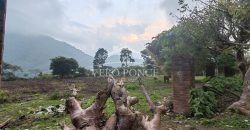 Ixtaczoquitlán / 7500 m2 / Terreno en Venta (2401-298)