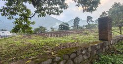 Ixtaczoquitlán / 7500 m2 / Terreno en Venta (2401-298)