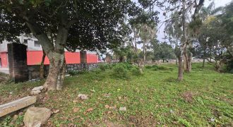 Ixtaczoquitlán / 7500 m2 / Terreno en Venta (2401-298) Ixtaczoquitlán / 7500 m2 / Terreno en Venta (2401-298)
