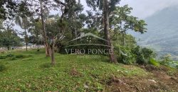 Ixtaczoquitlán / 7500 m2 / Terreno en Venta (2401-298)